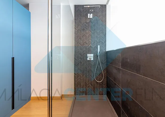 Malaga Center Flat Exclusive